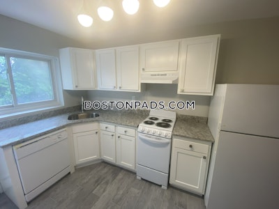 Brighton 2 Beds 1 Bath Boston - $3,000 No Fee