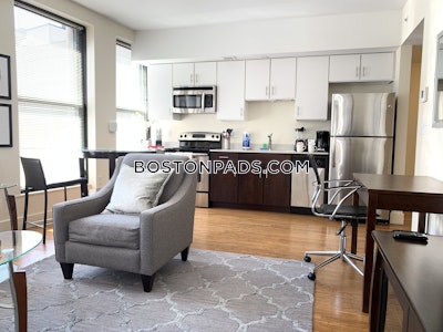 Downtown 1 Bed 1 Bath Boston - $3,100