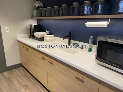 Allston 1 Bed 1 Bath Boston - $2,850