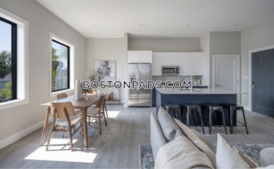 East Boston Newly Constructed 2 Bed/ 2 Bath East Boston Apartment  Boston - $3,675 No Fee