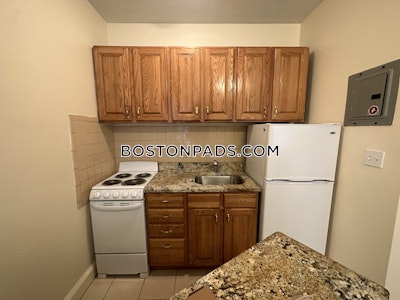 Northeastern/symphony 2 Beds 1 Bath Boston - $3,500