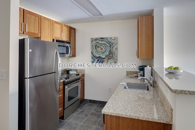 Dorchester Apartment for rent Studio 1 Bath Boston - $3,949 No Fee