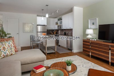 Downtown Apartment for rent 1 Bedroom 1 Bath Boston - $3,500