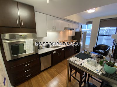Downtown Apartment for rent Studio 1 Bath Boston - $2,700 No Fee